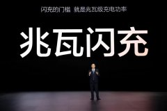 兆瓦闪充充电桩与新能源汽车生态匹配度