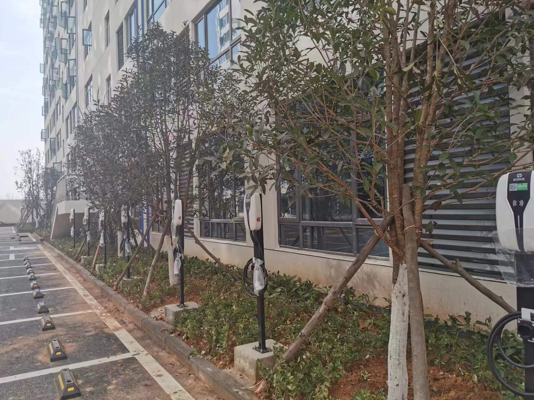 【房管家】天水市这里增设新能源汽车充电桩6台