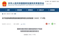 电网2030：如何接住4000万台充电桩的“巨浪”？