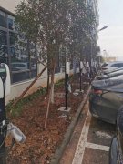 7kw充电桩为啥用漏保不用空开